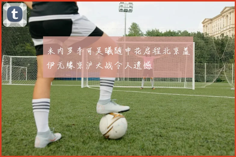 米内罗李可吴曦随申花启程北京盖伊无缘京沪大战令人遗憾